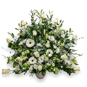 Arrimo Grande Blanco - Paz Eterna