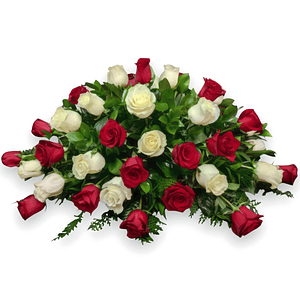 Cubre Urnas 50 Rosas Bicolor