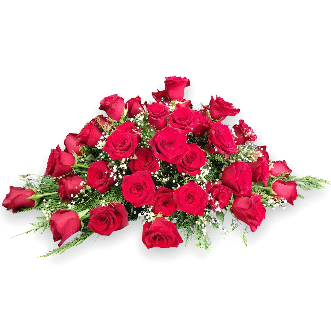 Cubre Urnas 50 Rosas Rojas 1