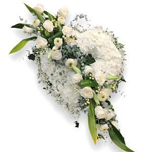 Corazón de Margaritas Blancas y Rosas