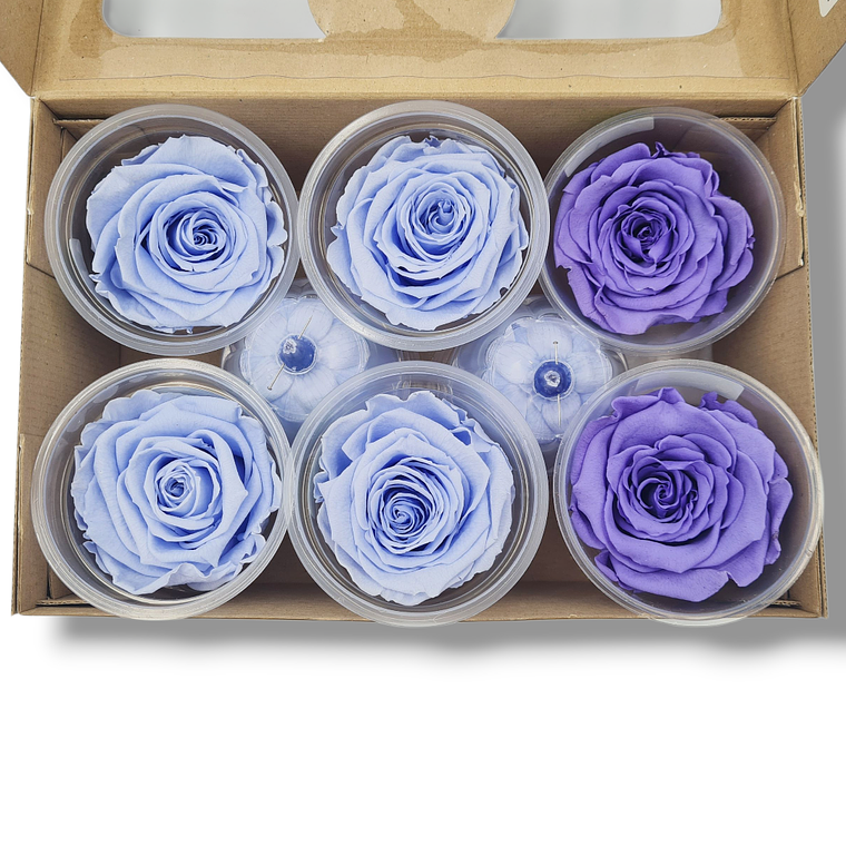 Caja de Rosas Eternas - Cielo y Lavanda 1