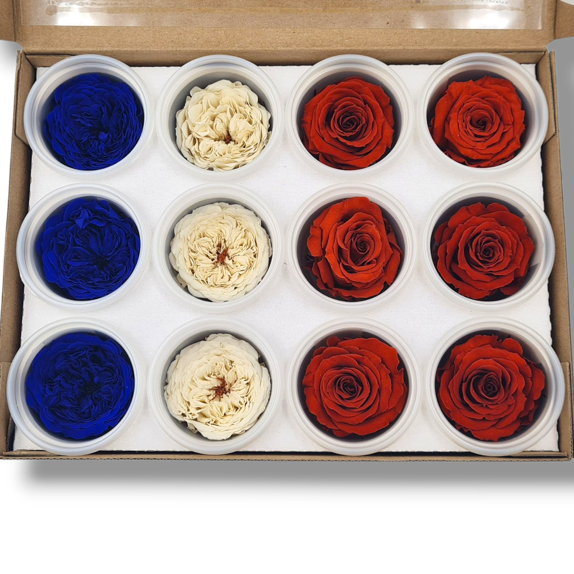 Mini Rosas Eternas: Garden & Clásicas (Azul, Crema, Rojo) 1