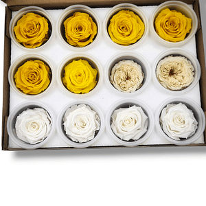 Caja con Mini Rosas Eternas