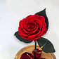 Rosa Eterna Roja en Cúpula de Vidrio con Luces LED - thumbnail 2