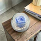 Rosa Eterna Celeste en Esfera de Cristal - Miniatura 1