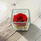 Rosa Eterna Roja en Cubo de Vidrio  - Miniatura 1