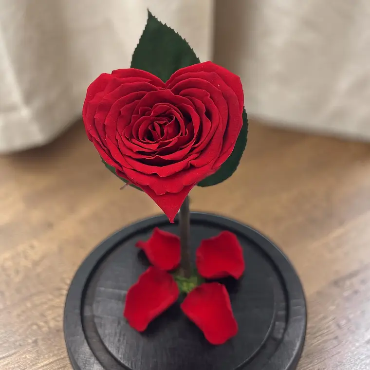 Rosa Eterna Roja en Cúpula de Vidrio Corazón 2