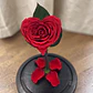 Rosa Eterna Roja en Cúpula de Vidrio Corazón - thumbnail 2