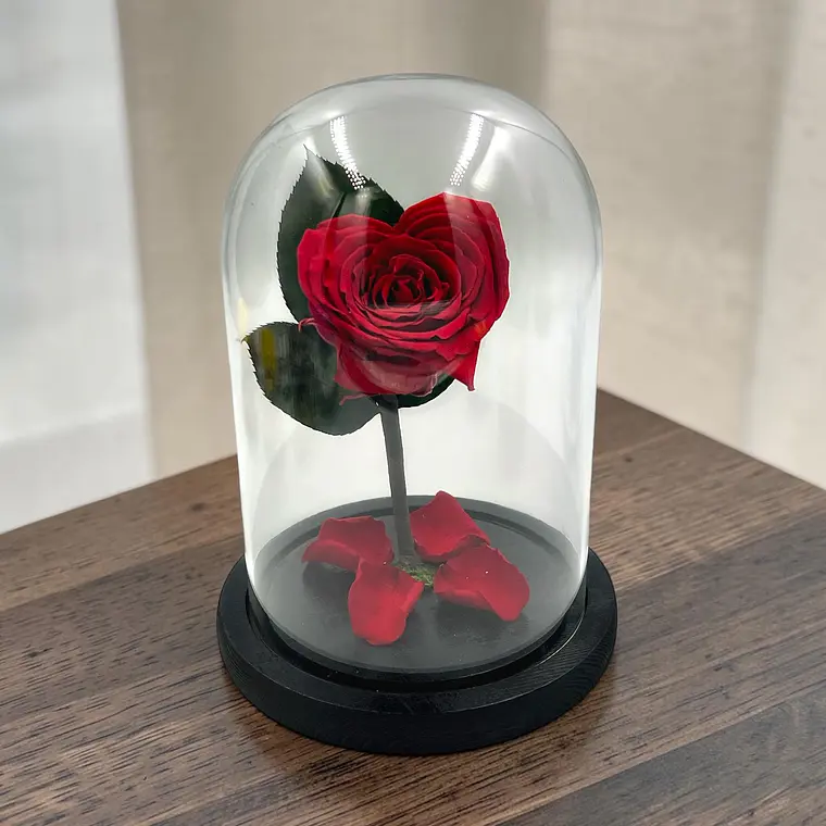 Rosa Eterna Roja en Cúpula de Vidrio Corazón 4
