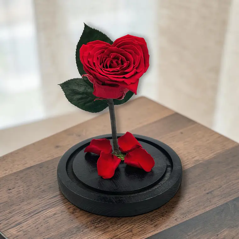 Rosa Eterna Roja en Cúpula de Vidrio Corazón 1