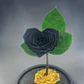 Rosa Eterna Negra en Forma de Corazón – Elegancia y Misterio en Cúpula - thumbnail 2