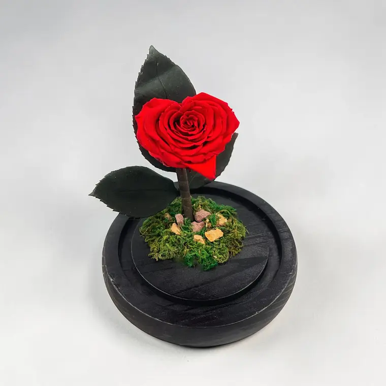 Mini Rosa eterna en Forma de Corazón 2