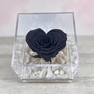 Mini Rosa Negra en Forma de Corazón