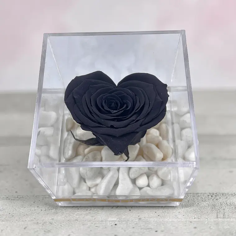 Mini Rosa Negra en Forma de Corazón 1