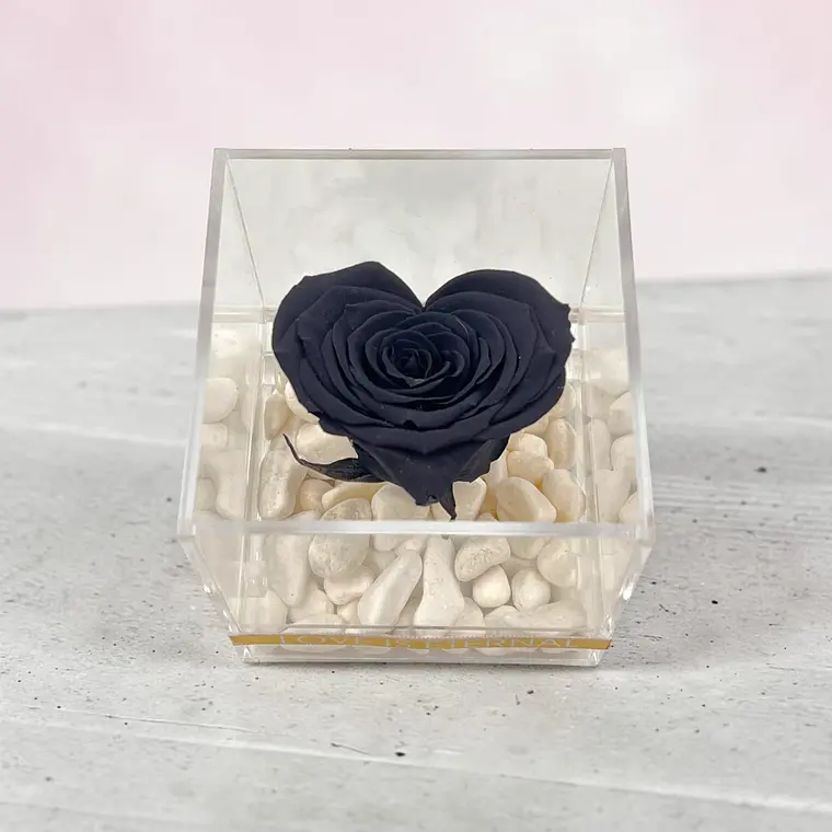 Mini Rosa Negra en Forma de Corazón 3
