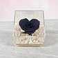 Mini Rosa Negra en Forma de Corazón - Miniatura 3