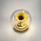 Mini Girasol en Esfera de Cristal con Luces LED - thumbnail 3