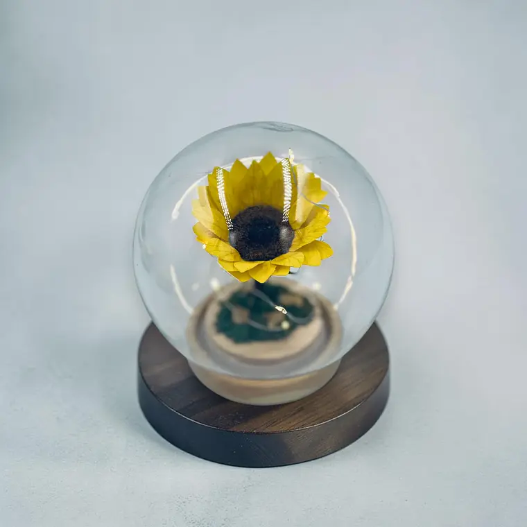Mini Girasol en Esfera de Cristal con Luces LED 4