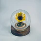 Mini Girasol en Esfera de Cristal con Luces LED - thumbnail 4