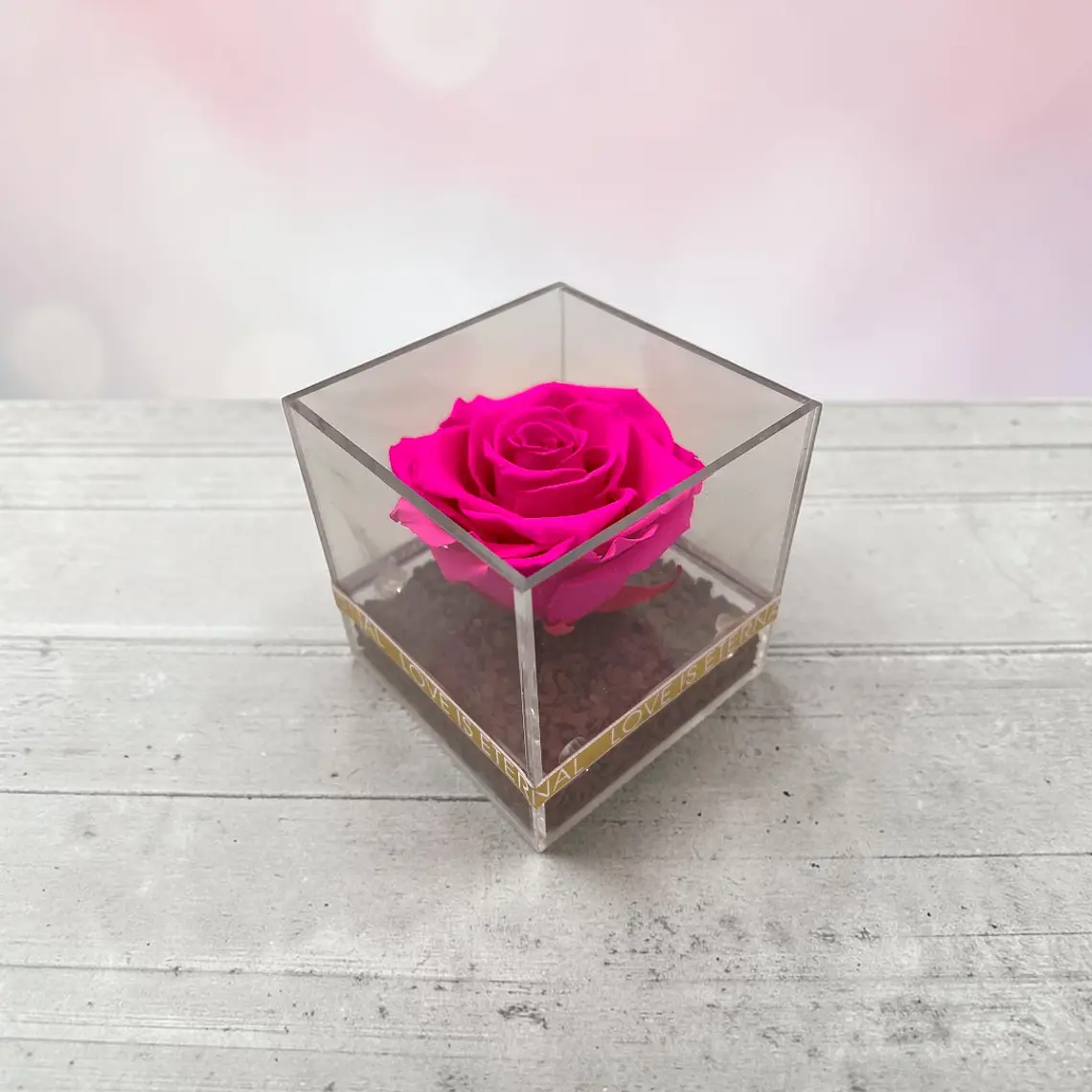 Rosa Preservada Fucsia en Cubo de Acrílico 1