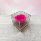 Rosa Preservada Fucsia en Cubo de Acrílico - Miniatura 1