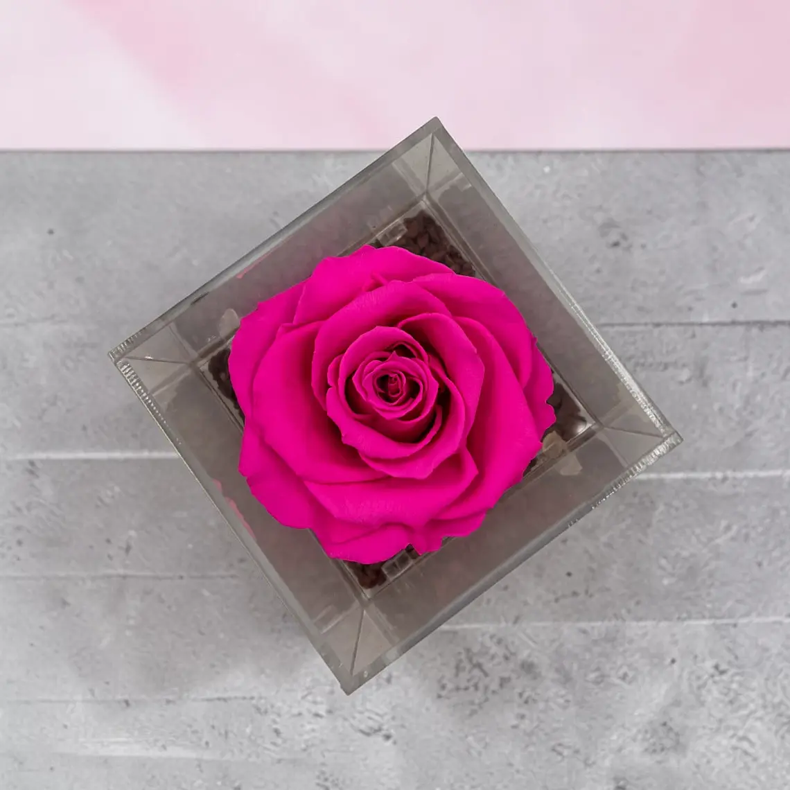 Rosa Preservada Fucsia en Cubo de Acrílico 2