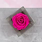 Rosa Preservada Fucsia en Cubo de Acrílico - Miniatura 2