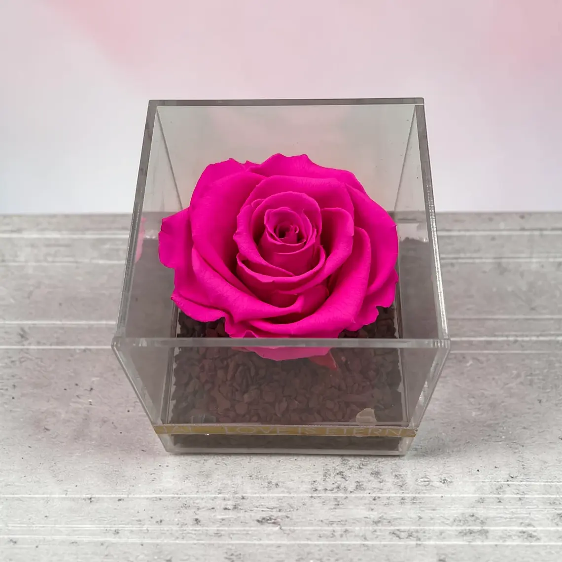 Rosa Preservada Fucsia en Cubo de Acrílico 3