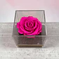Rosa Preservada Fucsia en Cubo de Acrílico - Miniatura 3