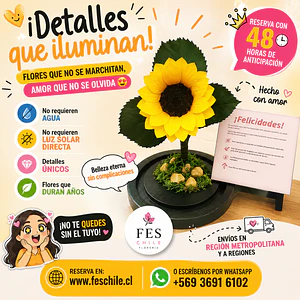 Mini Girasol - Rayito de Luz