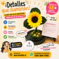 Mini Girasol - Rayito de Luz - Miniatura 2
