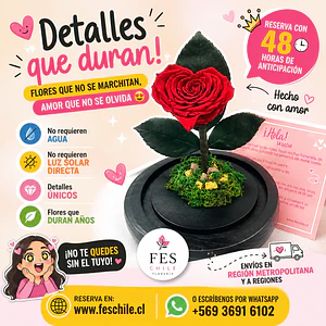 Mini Rosa eterna en Forma de Corazón