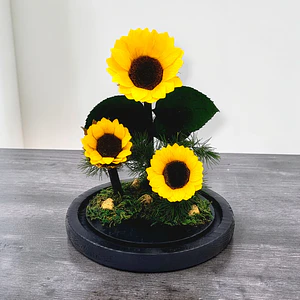 Girasol Eterno - Luz del Sol (Cúpula de Cristal)