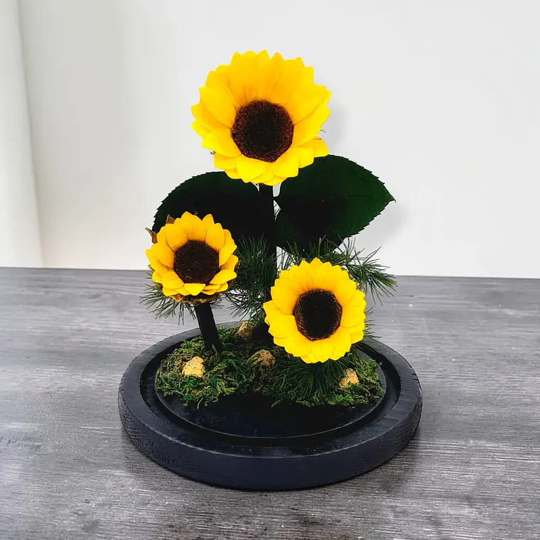 Girasol Eterno - Luz del Sol (Cúpula de Cristal) 1