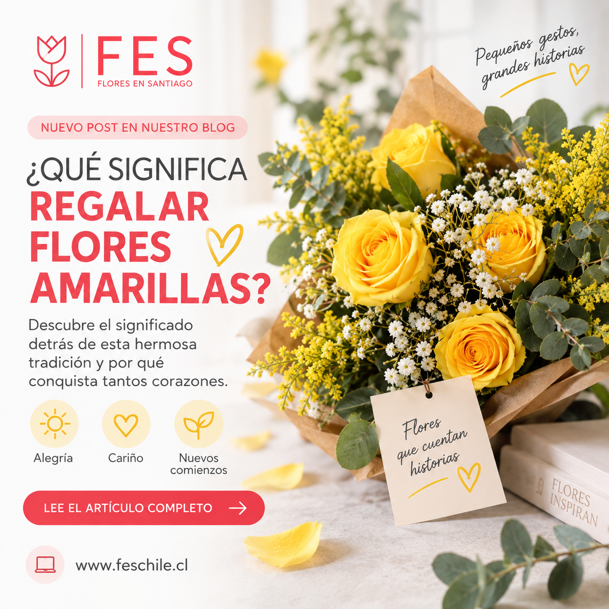 ¿Qué significa regalar flores amarillas?