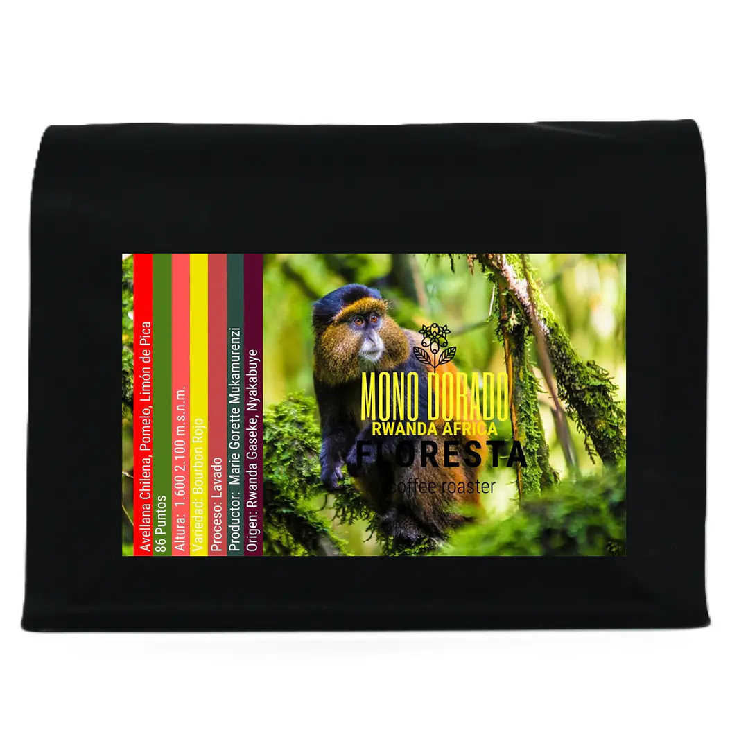 Mono Dorado Africa (100gr. /200gr.) 1