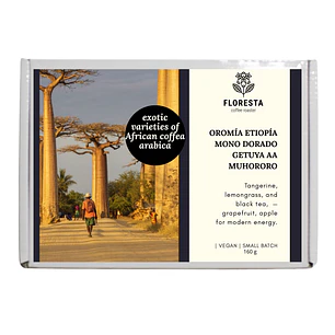Pack Africa x4 (grano entero) (160g)