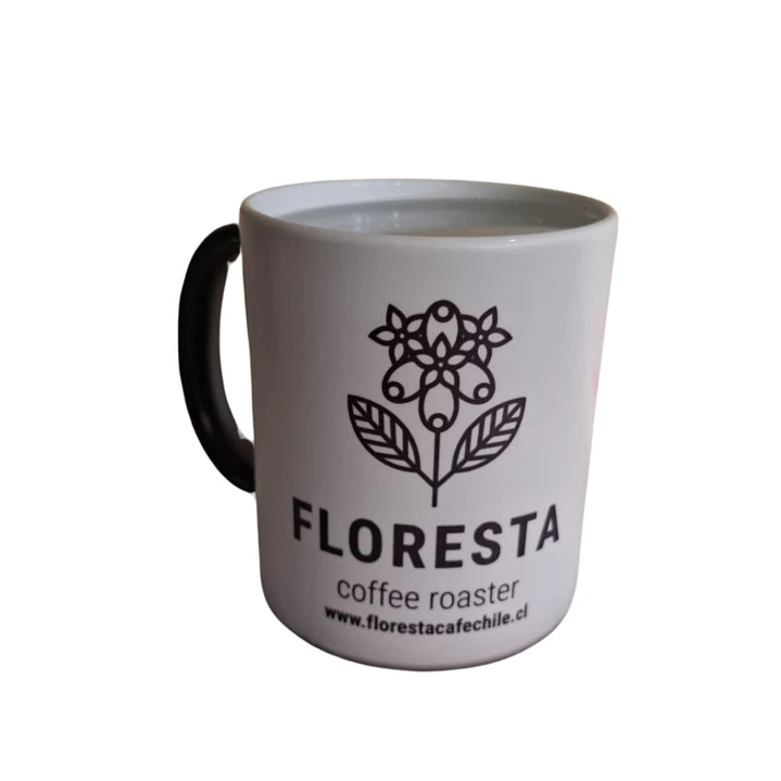 Tazon magico Floresta 3