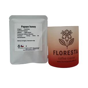 Tazon colores Floresta + 3 coffee drip Papayo honey colombia