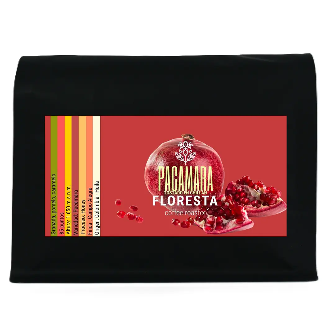 Pacamara Colombia 2