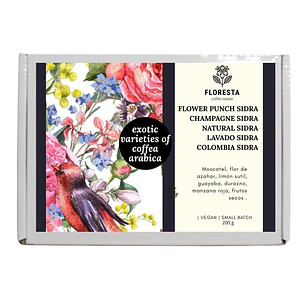 Pack Premium 5 SIDRAS x10 un. 20g. (200g.) (Precio Normal: $32.700 Precio Cyber: $26.160)