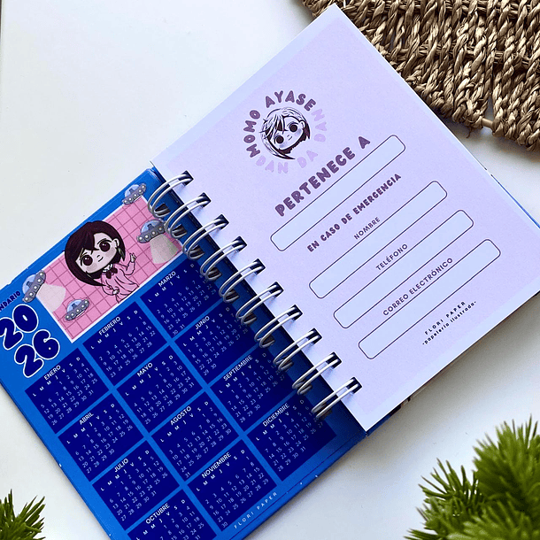 LIBRETA | DAN DA DAN | Momo