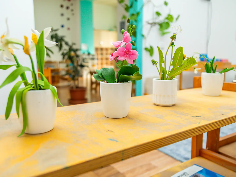 Flowers for Every Occasion: Finding the Perfect Arrangement