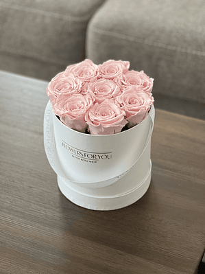 Box rosas preservadas rosa