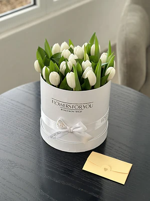 Box 20 tulipanes blancos
