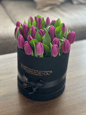 Box 20 tulipanes morados