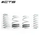 CTS Turbo Audi 8V S3/RS3 Lowering Springs - IMPORTACION RAPIDA - Miniatura 1