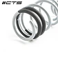 CTS Turbo Audi 8V S3/RS3 Lowering Springs - IMPORTACION RAPIDA - Miniatura 4
