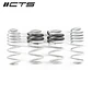 CTS Turbo B8/B8.5 Audi A4/S4 Lowering Spring Set - IMPORTACION RAPIDA - Miniatura 1