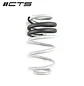 CTS Turbo B8/B8.5 Audi A4/S4 Lowering Spring Set - IMPORTACION RAPIDA - Miniatura 2